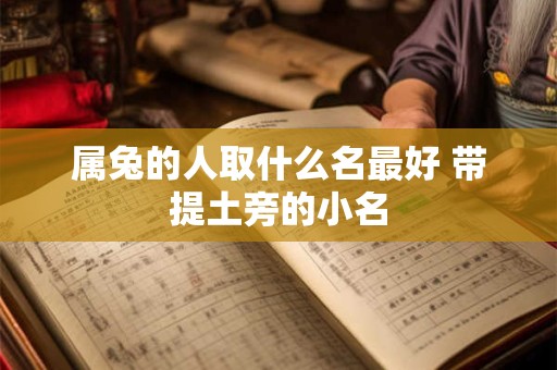 属兔的人取什么名最好 带提土旁的小名