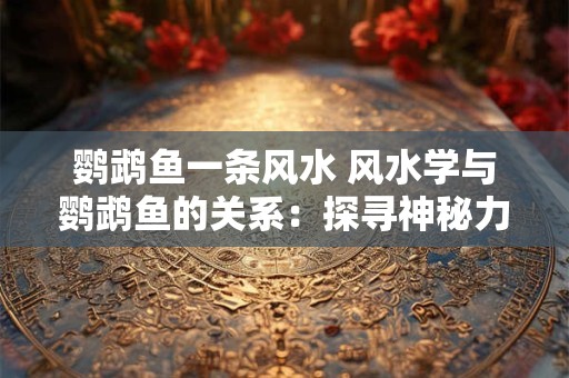 鹦鹉鱼一条风水 风水学与鹦鹉鱼的关系：探寻神秘力量的奥秘