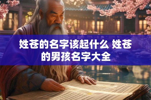 姓苍的名字该起什么 姓苍的男孩名字大全