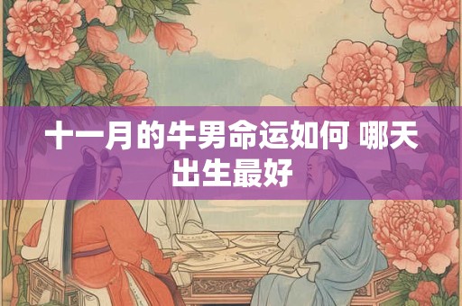 十一月的牛男命运如何 哪天出生最好