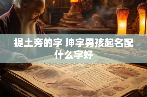 提土旁的字 坤字男孩起名配什么字好 提土旁的字 坤字男孩起名配什么字好