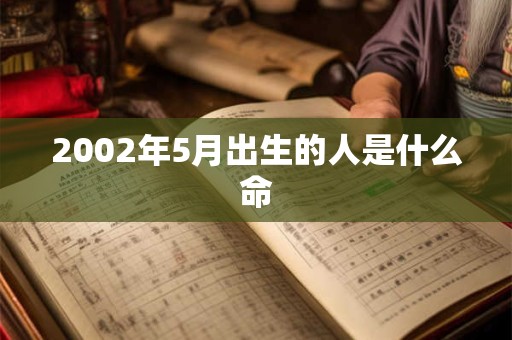 2002年5月出生的人是什么命