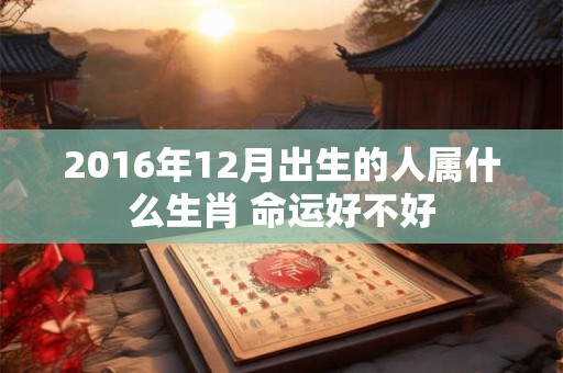 2016年12月出生的人属什么生肖 命运好不好