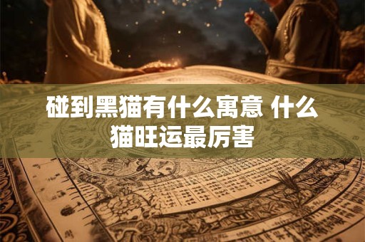 碰到黑猫有什么寓意 什么猫旺运最厉害
