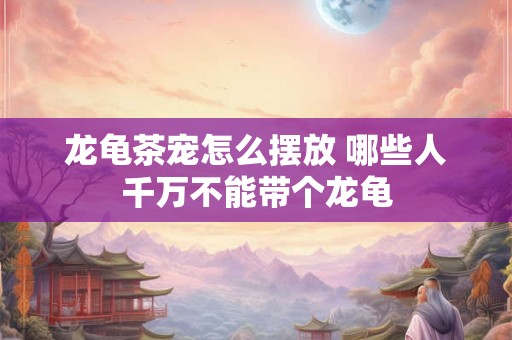 龙龟茶宠怎么摆放 哪些人千万不能带个龙龟