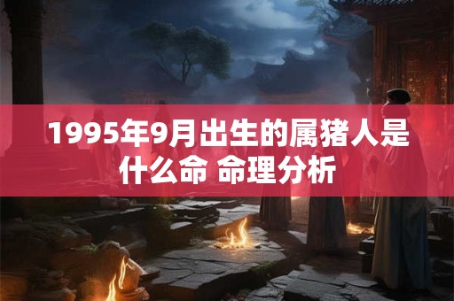 1995年9月出生的属猪人是什么命 命理分析