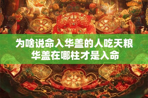 为啥说命入华盖的人吃天粮 华盖在哪柱才是入命