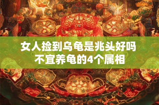 女人捡到乌龟是兆头好吗 不宜养龟的4个属相
