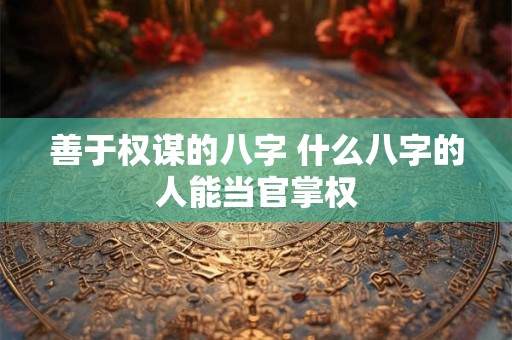 善于权谋的八字 什么八字的人能当官掌权