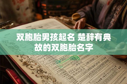 双胞胎男孩起名 楚辞有典故的双胞胎名字