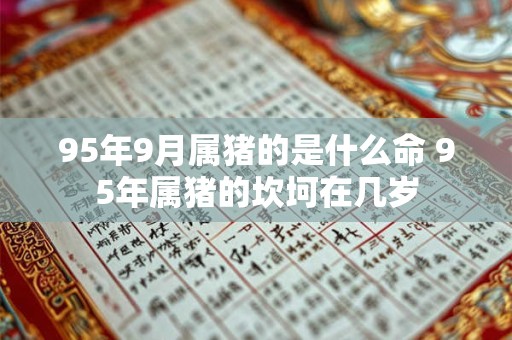 95年9月属猪的是什么命 95年属猪的坎坷在几岁