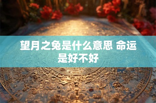 望月之兔是什么意思 命运是好不好