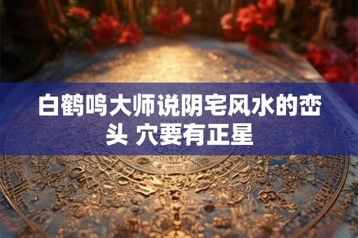 白鹤鸣大师说阴宅风水的峦头 穴要有正星