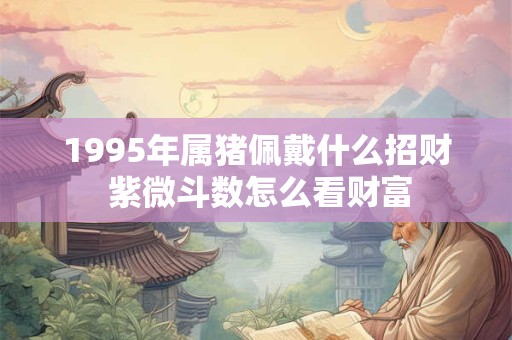 1995年属猪佩戴什么招财 紫微斗数怎么看财富