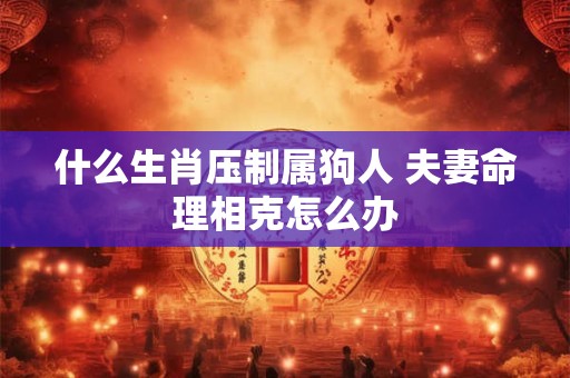 详细阅读:什么生肖压制属狗人 夫妻命理相克怎么办 什么生肖压制属狗人 夫妻命理相克怎么办