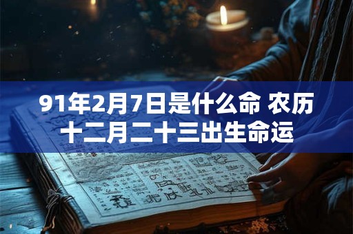 91年2月7日是什么命 农历十二月二十三出生命运