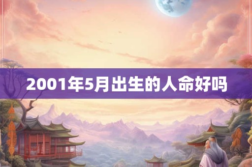 2001年5月出生的人命好吗