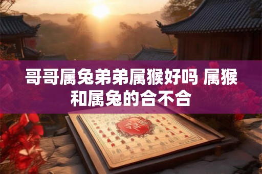 哥哥属兔弟弟属猴好吗 属猴和属兔的合不合