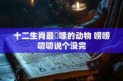 十二生肖最啰嗦的动物 唠唠叨叨说个没完