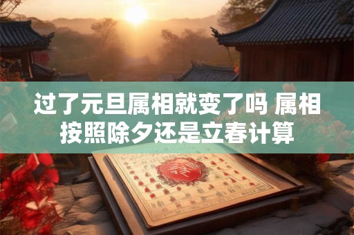 过了元旦属相就变了吗 属相按照除夕还是立春计算