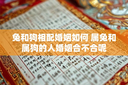 兔和狗相配婚姻如何 属兔和属狗的人婚姻合不合呢