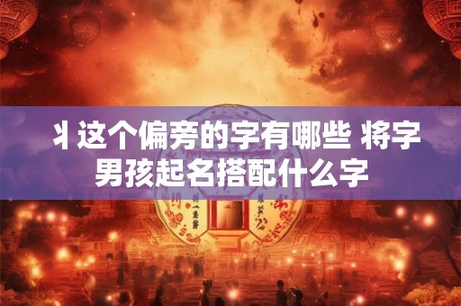丬这个偏旁的字有哪些 将字男孩起名搭配什么字