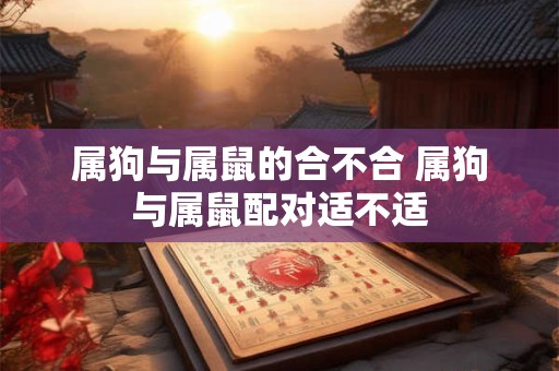 属狗与属鼠的合不合 属狗与属鼠配对适不适
