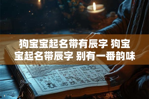 狗宝宝起名带有辰字 狗宝宝起名带辰字 别有一番韵味！