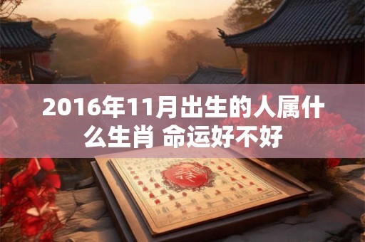 2016年11月出生的人属什么生肖 命运好不好