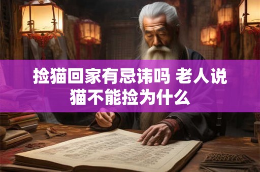捡猫回家有忌讳吗 老人说猫不能捡为什么