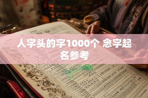 人字头的字1000个 念字起名参考