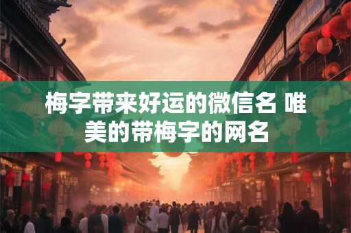 梅字带来好运的微信名 唯美的带梅字的网名