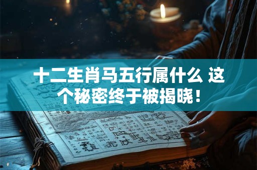 十二生肖马五行属什么 这个秘密终于被揭晓！