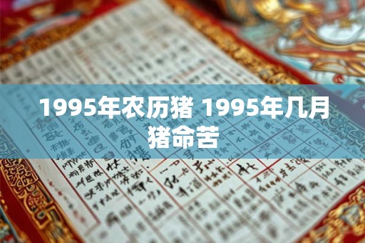 1995年农历猪 1995年几月猪命苦