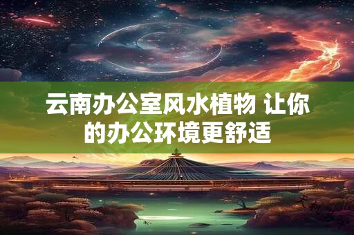 云南办公室风水植物 让你的办公环境更舒适