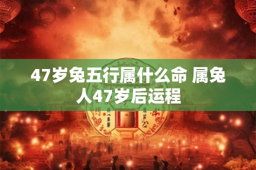 47岁兔五行属什么命 属兔人47岁后运程
