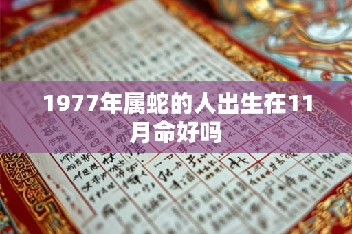 1977年属蛇的人出生在11月命好吗