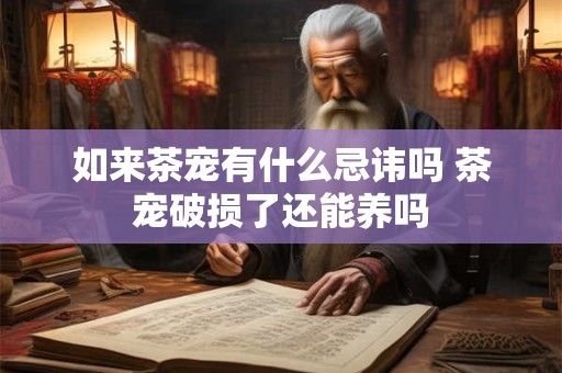 如来茶宠有什么忌讳吗 茶宠破损了还能养吗