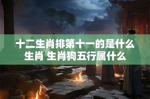 十二生肖排第十一的是什么生肖 生肖狗五行属什么