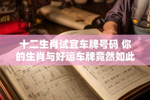 十二生肖试宜车牌号码 你的生肖与好运车牌竟然如此契合！