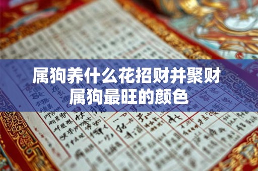 属狗养什么花招财并聚财 属狗最旺的颜色