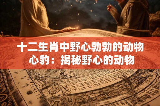 十二生肖中野心勃勃的动物 心豹：揭秘野心的动物