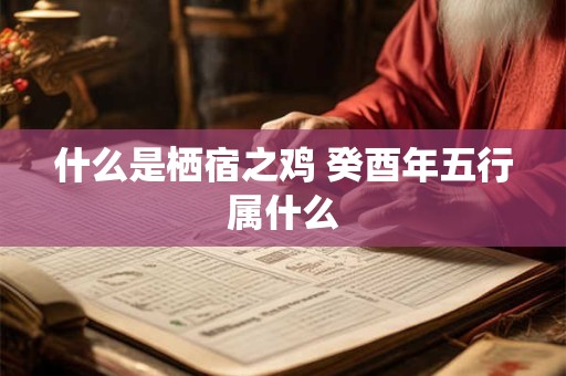 什么是栖宿之鸡 癸酉年五行属什么