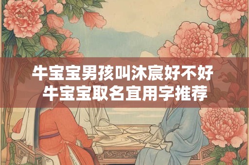 牛宝宝男孩叫沐宸好不好 牛宝宝取名宜用字推荐