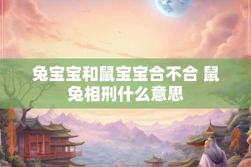 兔宝宝和鼠宝宝合不合 鼠兔相刑什么意思