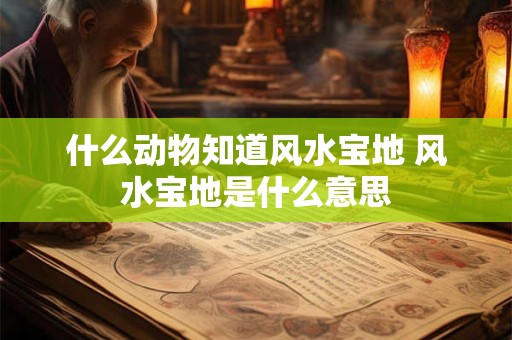 什么动物知道风水宝地 风水宝地是什么意思