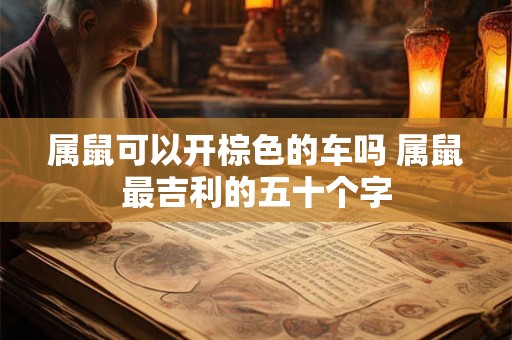 属鼠可以开棕色的车吗 属鼠最吉利的五十个字