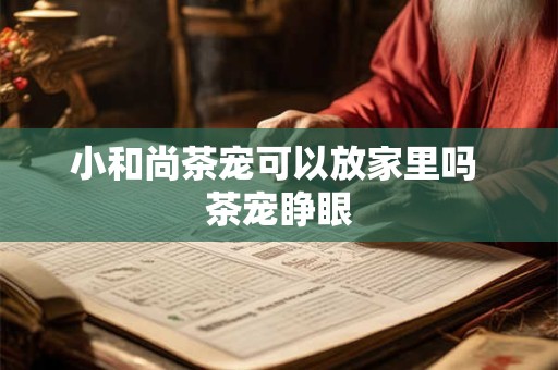 小和尚茶宠可以放家里吗 茶宠睁眼