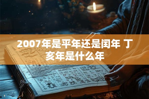 2007年是平年还是闰年 丁亥年是什么年