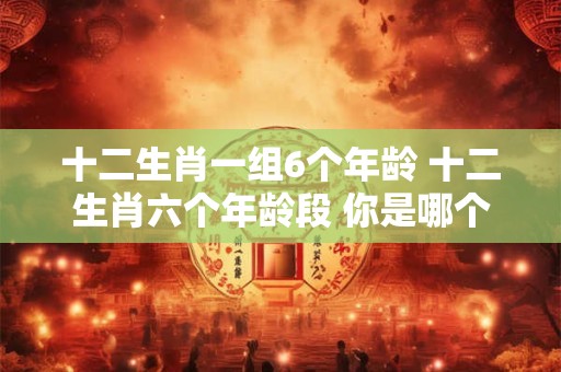 十二生肖一组6个年龄 十二生肖六个年龄段 你是哪个阶段